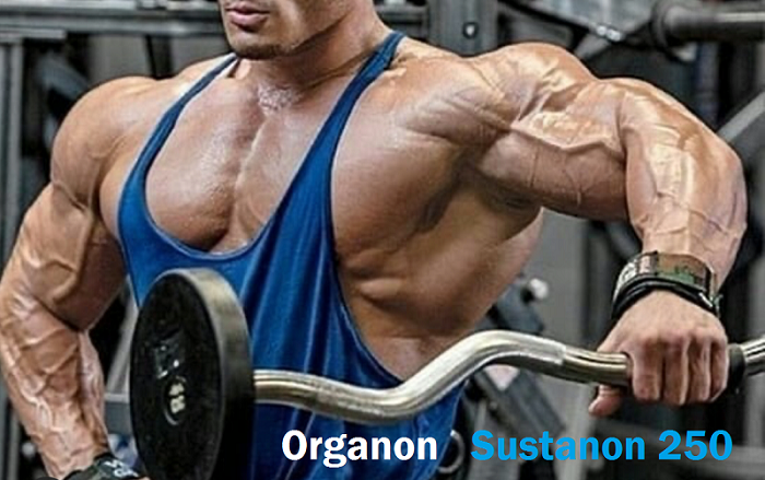 Organon-sustanon-250