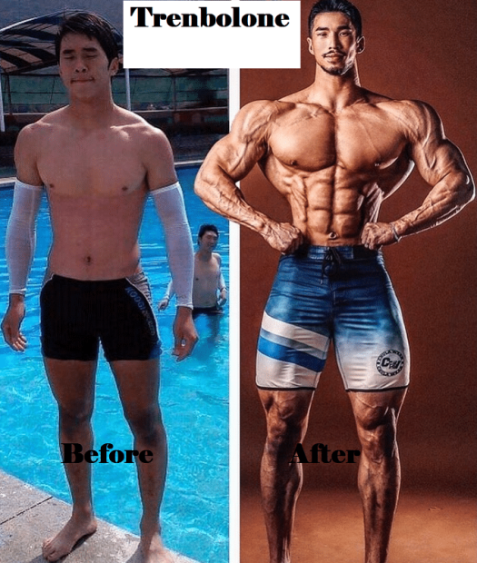 Trenbolone Before After Buy Trenbolone BodyGear.to