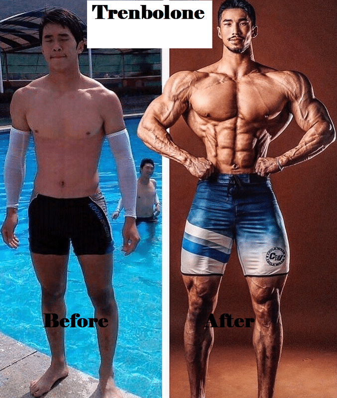 trenbolone-before-after