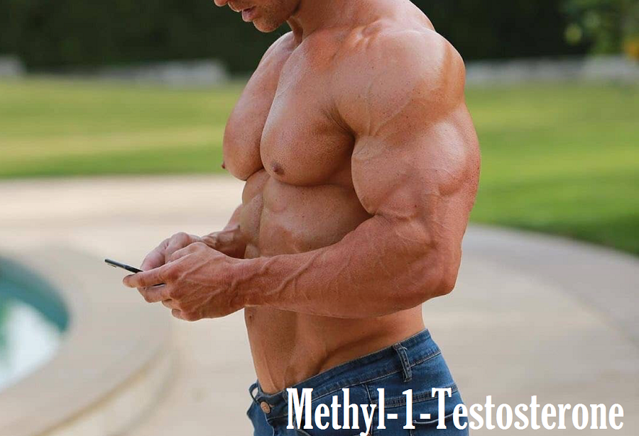 Methyl-1-Testosterone-post