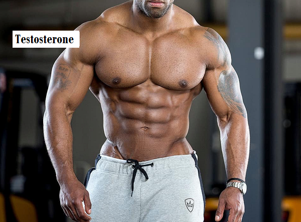 Testosterone-Enanthate-Benefits-huge-muscles
