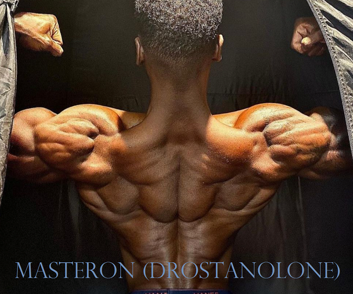 Masteron-Drostanolone-body