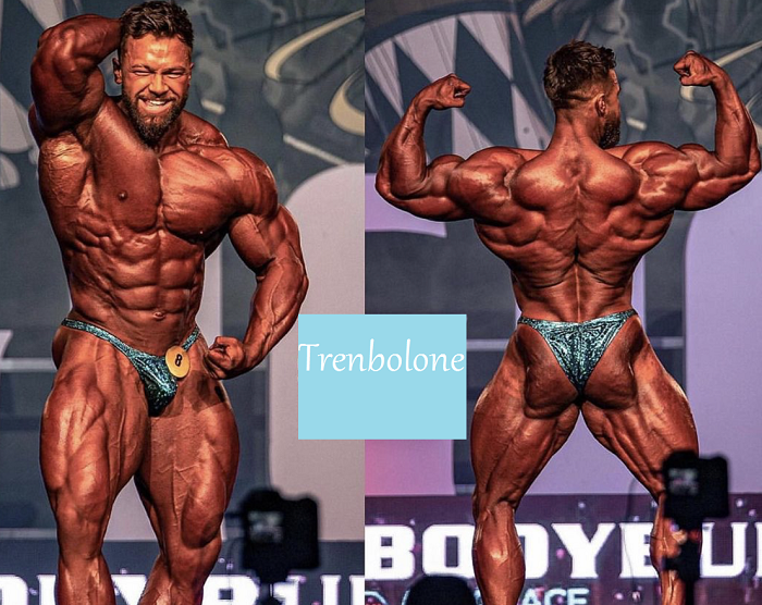 trenbolone-bodygear