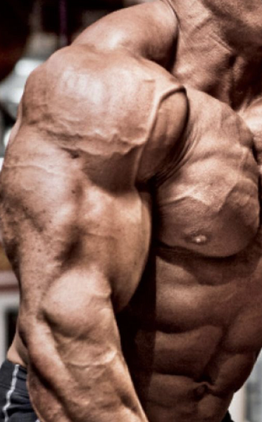 Halotestin-defined-muscles-workout