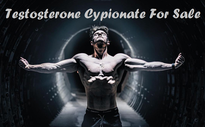 Testosterone-Cypionate-For-Sale-body-gear