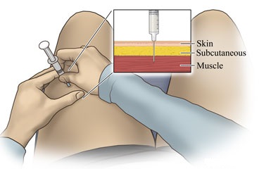 self-administration-testosterone