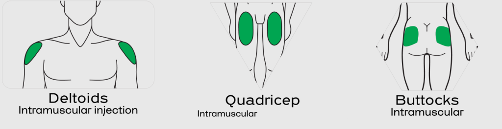 testosterone-injection-sites-intramuscular