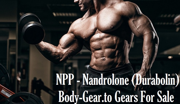 NPP-Nandrolone-Durabolin-body-gear