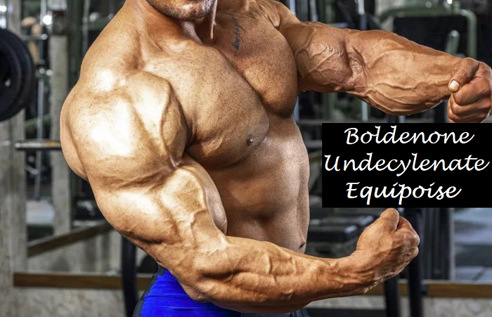 boldenone-undecylenate-equipoise-body-gear