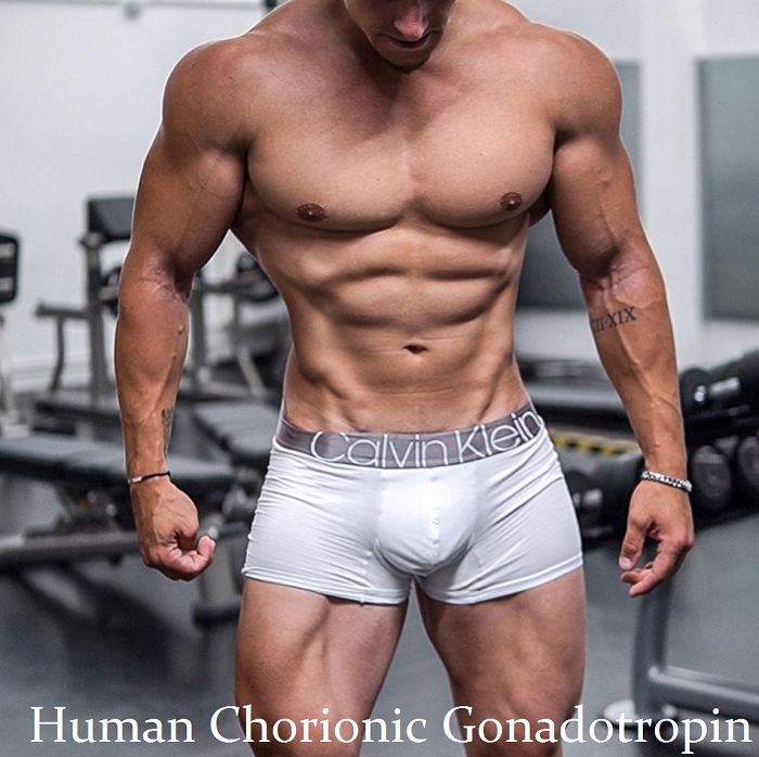 Human-Chorionic-Gonadotropin-body-gear