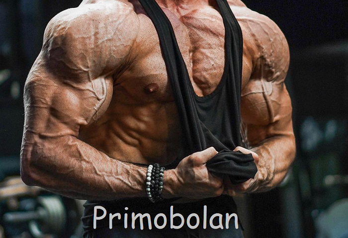 primobolan-body-gear