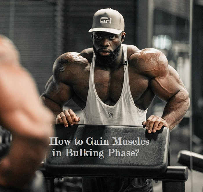 How to Gain Muscles in Bulking Phase