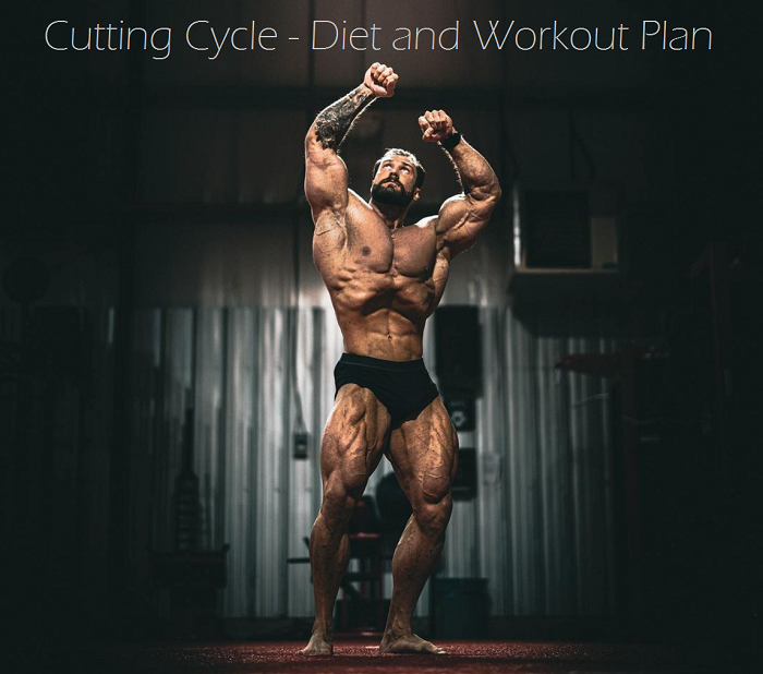 Cutting Cycle - Diet and Workout Plan bodygear