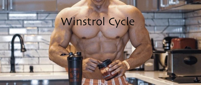Winstrol-cycle-body-gear