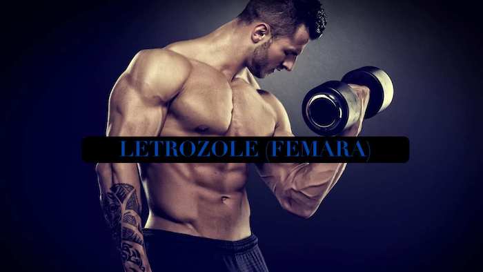 Letrozole-body-gear