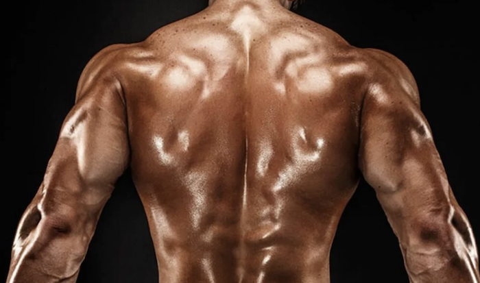 Letrozole-femara-bodybuilding