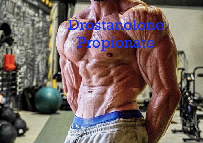 Drostanolone-Propionate-body-gear