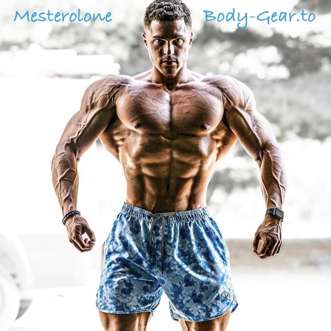 Mesterolone-body-gear