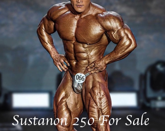 Sustanon-250-for-sale-bodygear