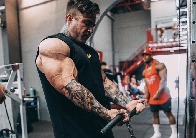 Sustanon-250-for-sale-cycle-testosterone