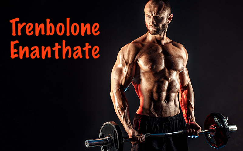 Trenbolone-enanthate-body-gear