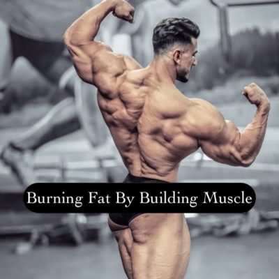 Burning Fat By Building Muscle Body Gear