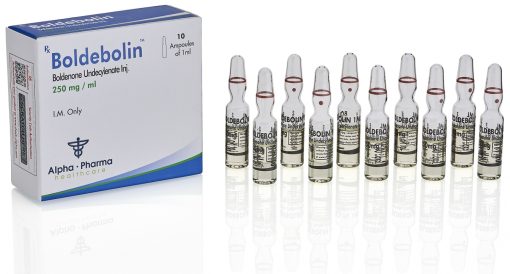 Boldebolin amp.