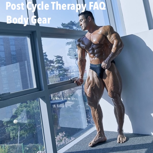 post-cycle-therapy-faq-body-gear