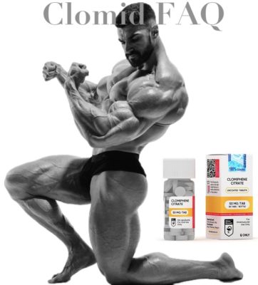 Clomid FAQ body gear