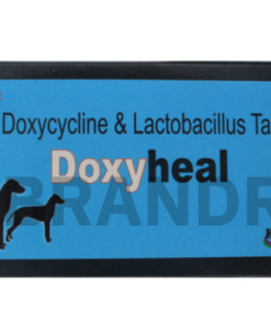 Doxyheal 100 mg